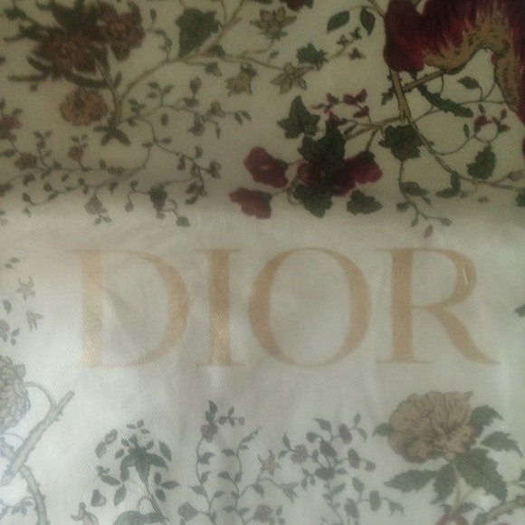NWT DIOR TOTE. - Picture 2 of 5